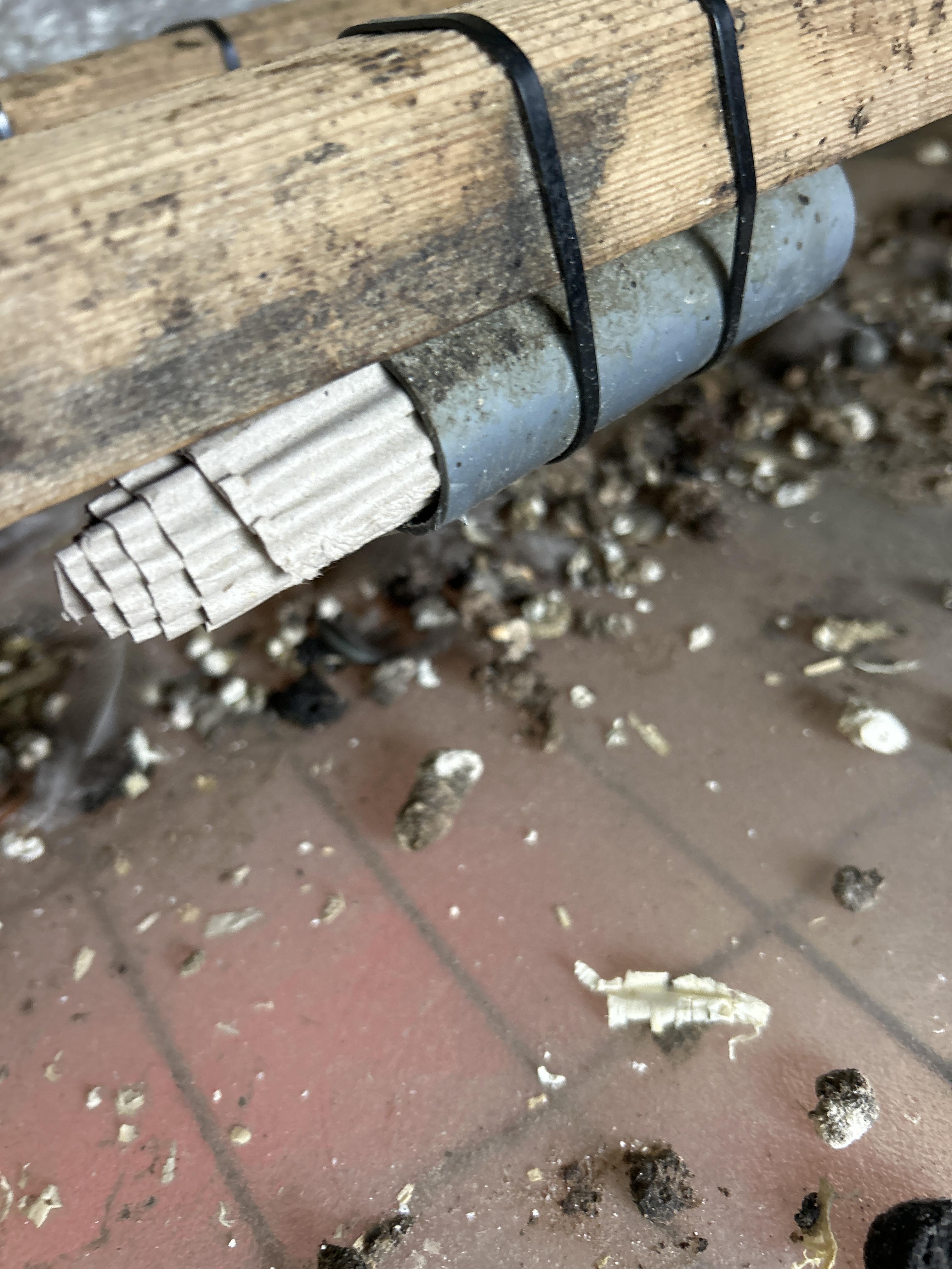Golfkarton op rol gebruik: Golfkarton op rol
