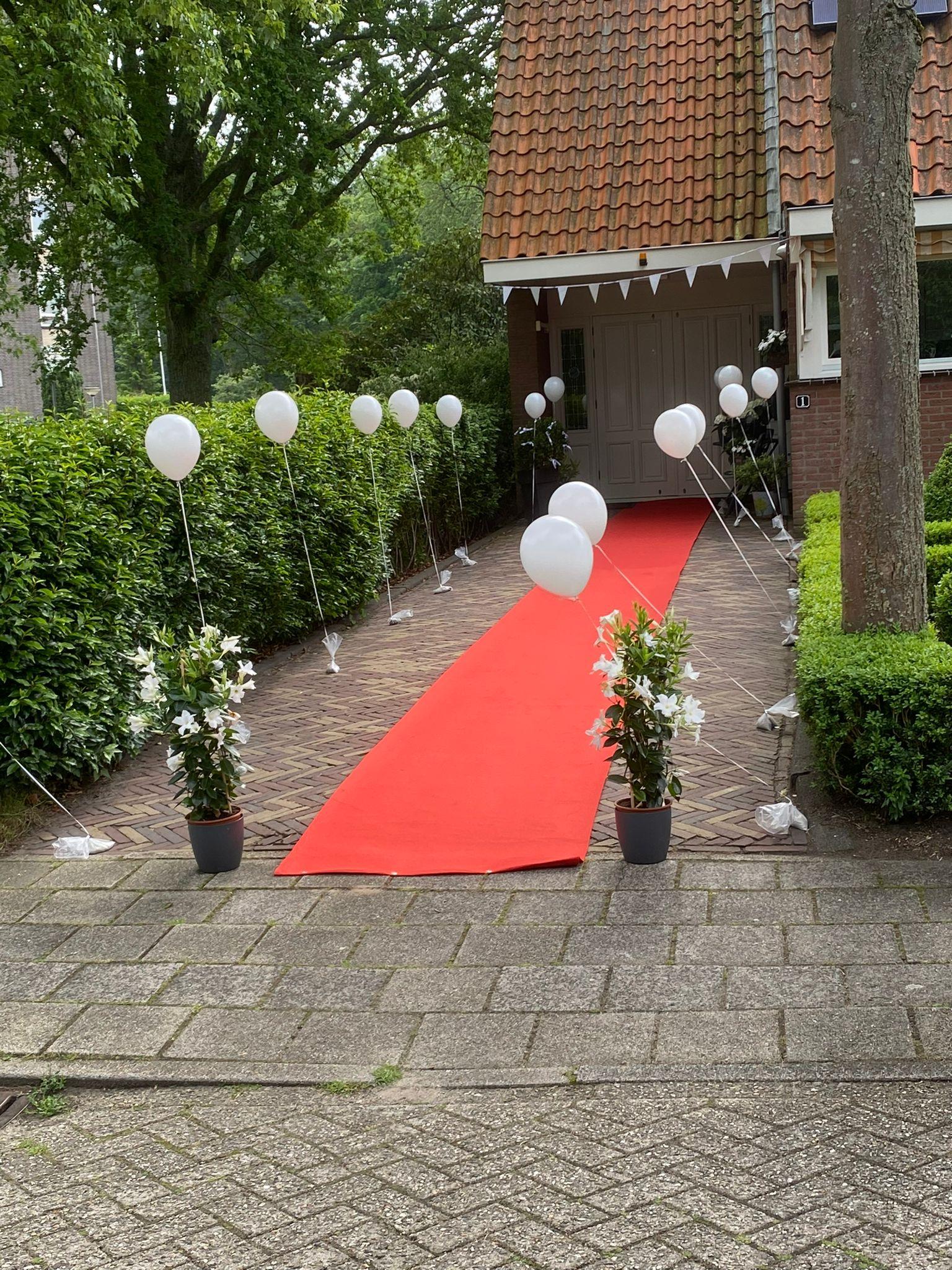 Rode loper vanaf 1 meter gebruik: Rode loper vanaf 1 meter